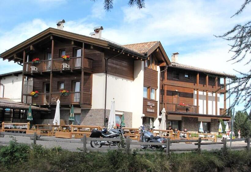 酒店 Dolomiti Appart&rooms