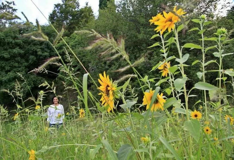 هتل Farm Stay Domačija Butul