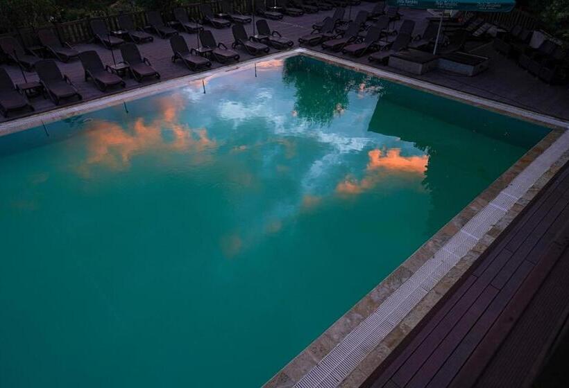 Отель Pension Casa Cu Tei