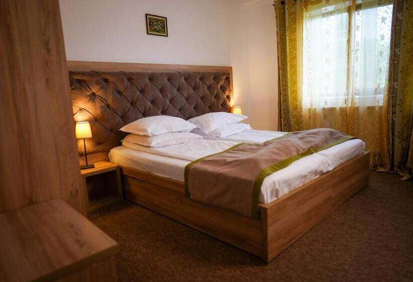 Отель Pension Casa Cu Tei