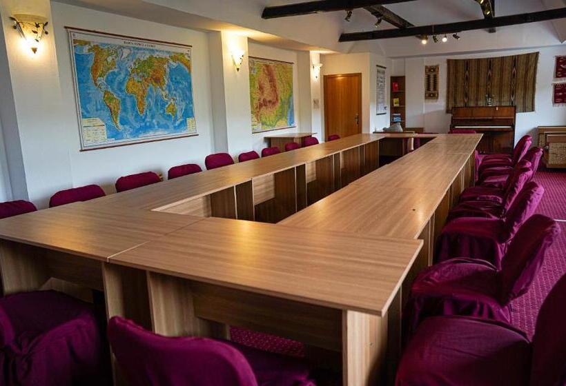 Отель Pension Casa Cu Tei