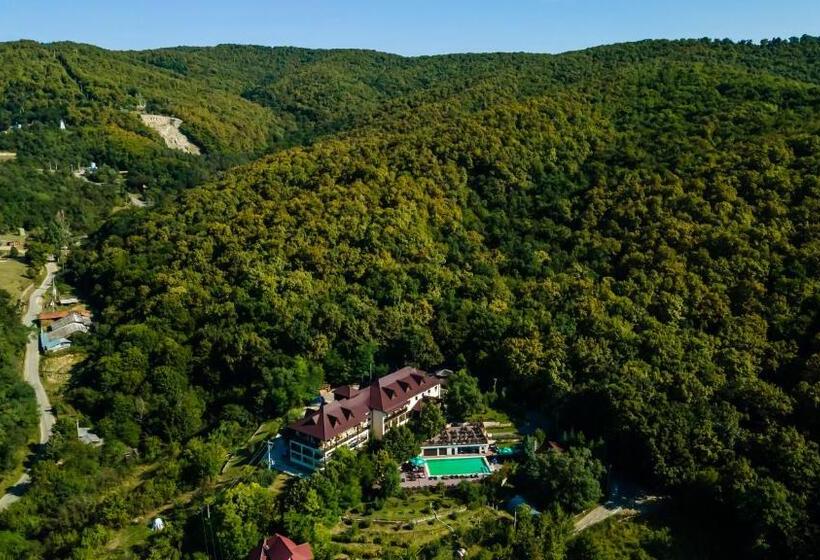 Отель Pension Casa Cu Tei