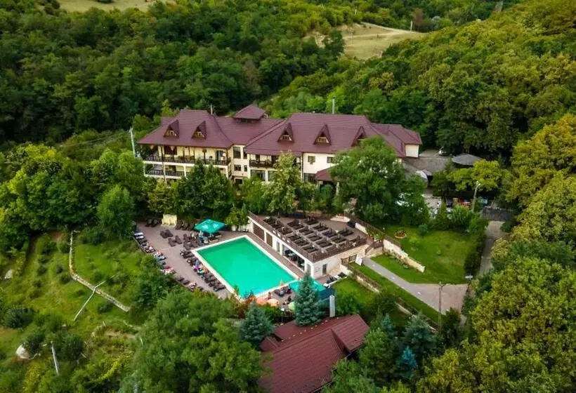 هتل Pension Casa Cu Tei