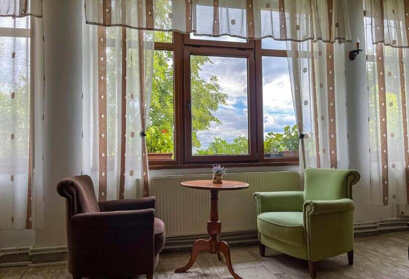 Отель Pension Casa Cu Tei