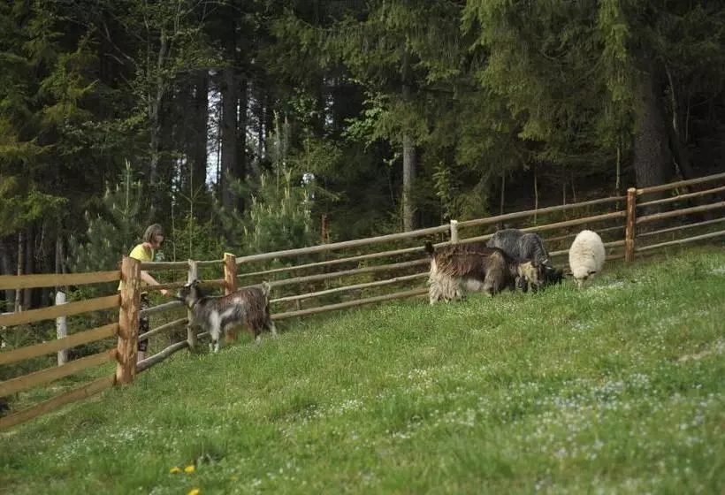 Hotelli Vezha Vedmezha