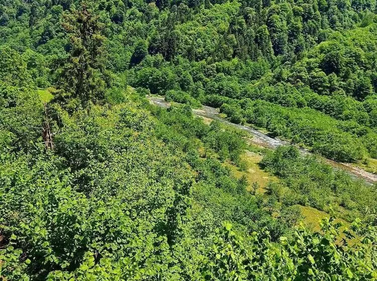 Meydan şelale Apart