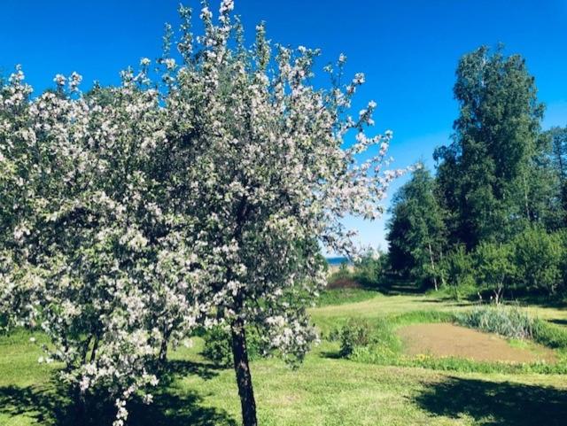 پانسیون Altja Villa Guesthouse