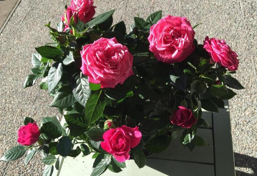 پانسیون Altja Villa Guesthouse