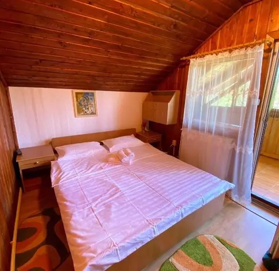 ペンション Casa De Vacanta Catrinel