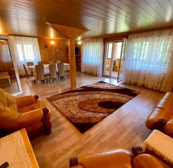 ペンション Casa De Vacanta Catrinel
