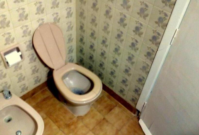 膳宿费 Santa Clara