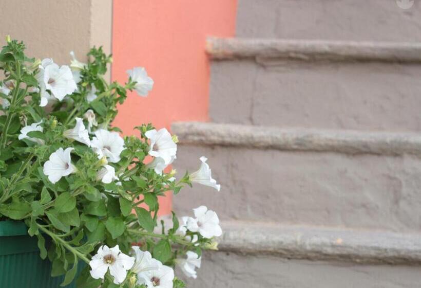 پانسیون Top Residence Arioli