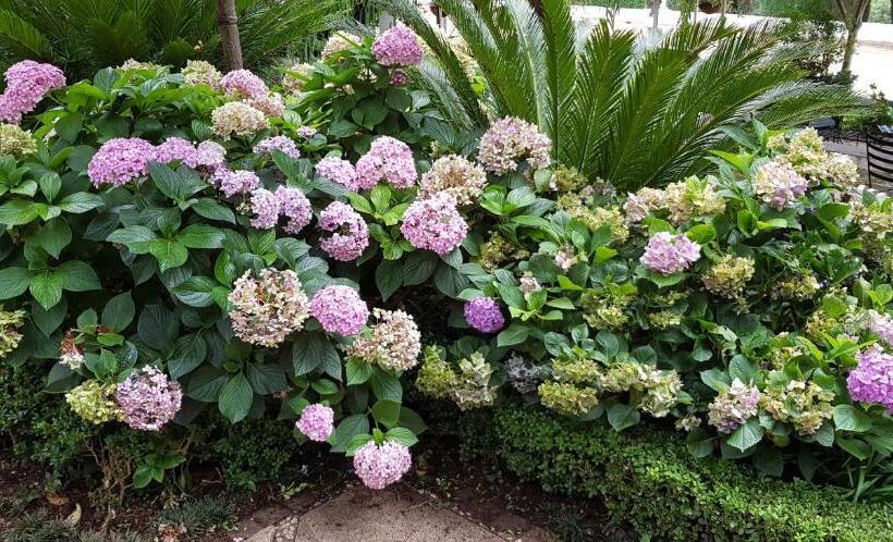 Pheasant Hill Bed And Breakfast