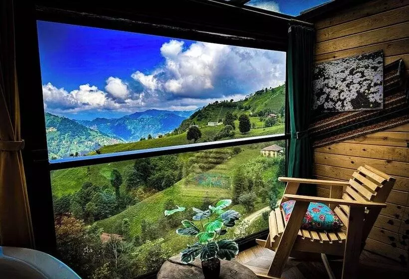 ホテル Organikkoy Bungalov