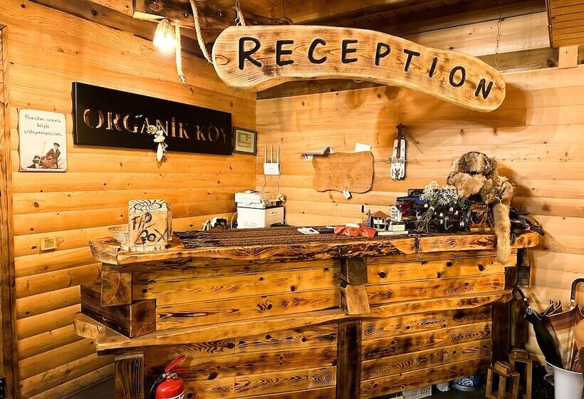 בית מלון כפרי Organikkoy Bungalov