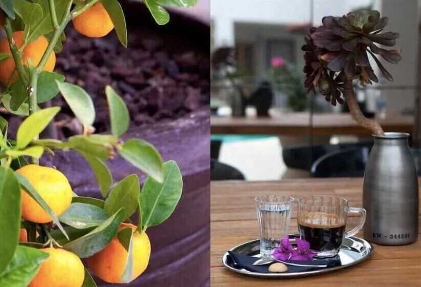 בית מלון כפרי Pier Marina Bodrum