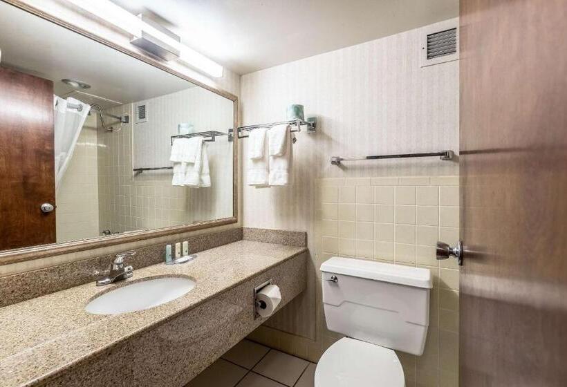 فندق Quality Inn & Suites