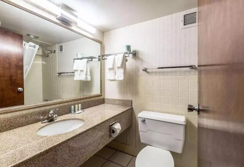 ホテル Quality Inn & Suites