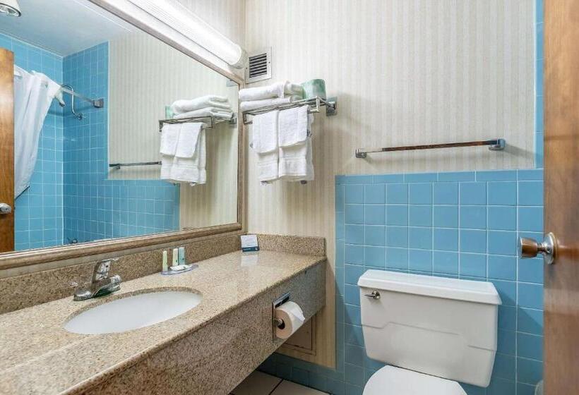 فندق Quality Inn & Suites