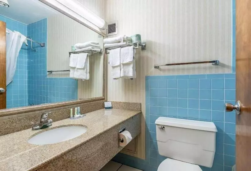 ホテル Quality Inn & Suites
