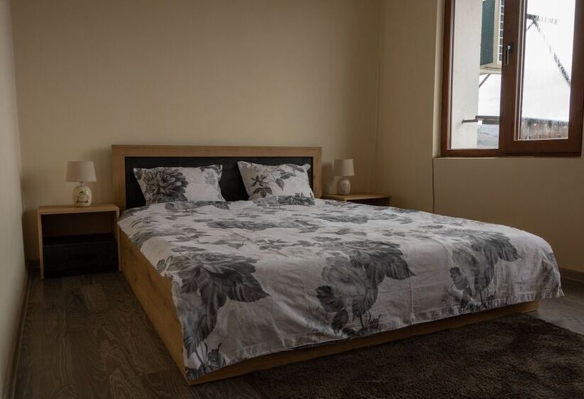 ペンション Guest House Viki