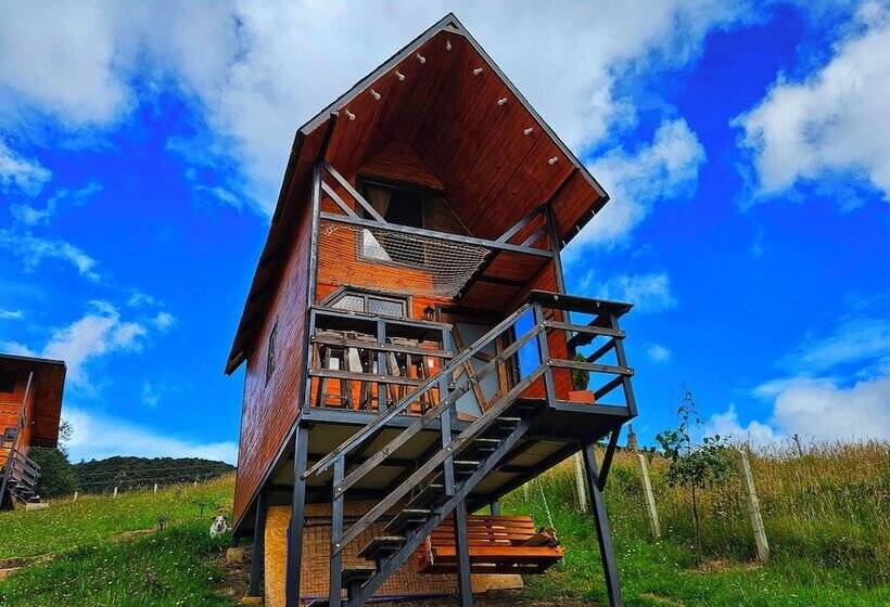 تختخواب و صبحانه Hakuna Matata Glamping