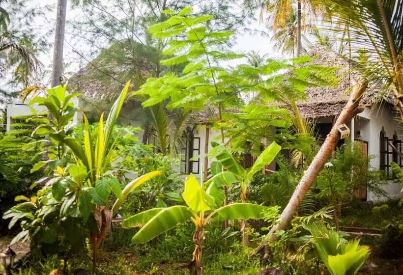 هتل Dreamland Bungalows