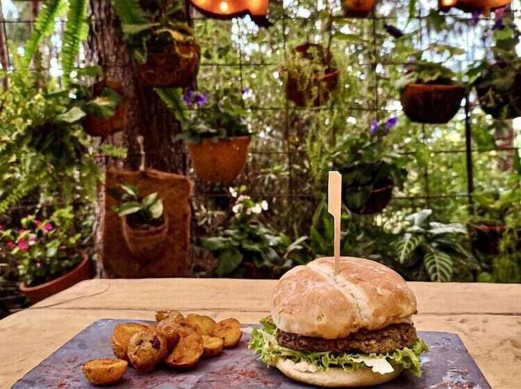 Hotel Glamping Vital Spa