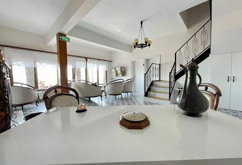 ホテル Villa Ece Pension