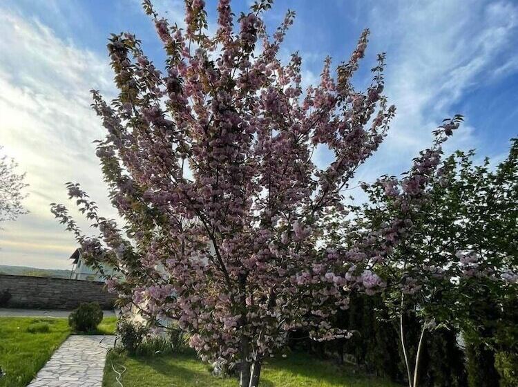 Пансион Guest House & Rooms Chris Toros