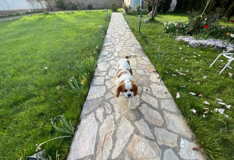 Пансион Guest House & Rooms Chris Toros