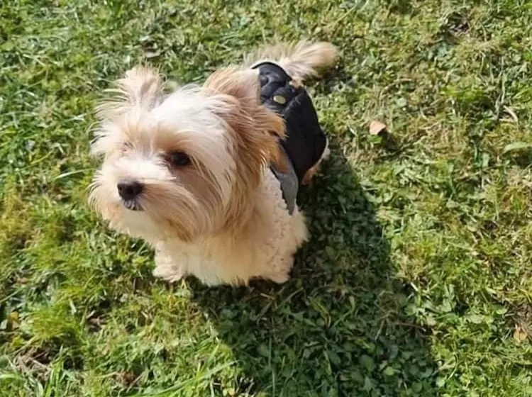 Majatalo Guest House & Rooms Chris Toros