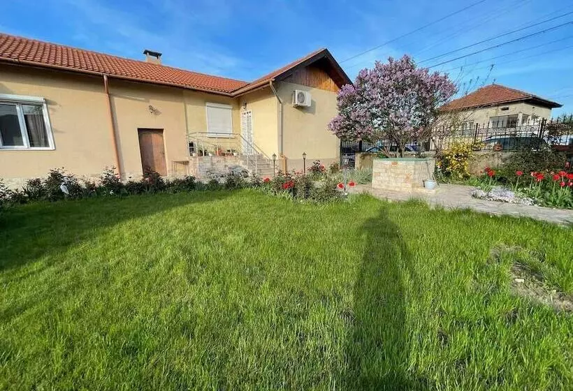 Majatalo Guest House & Rooms Chris Toros