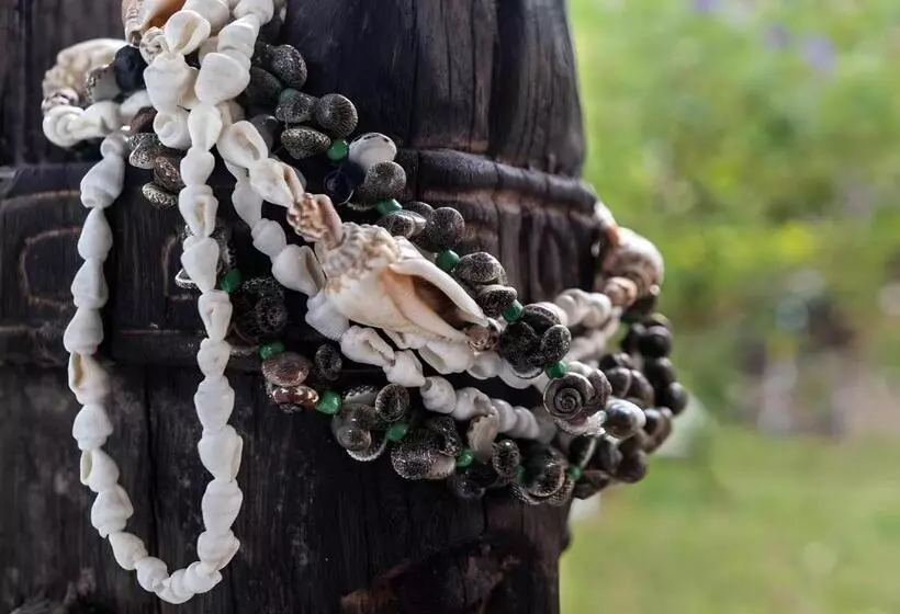 پانسیون Maison Taina