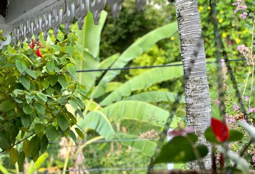 پانسیون Maison Taina