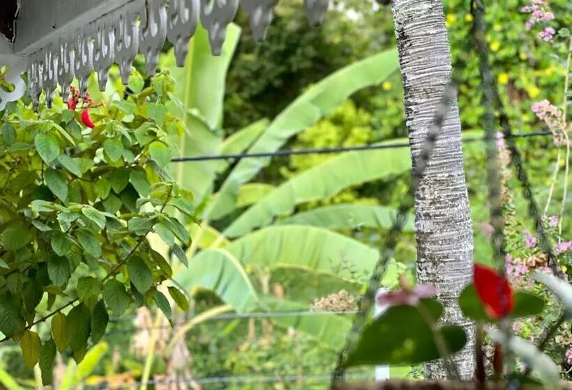 پانسیون Maison Taina