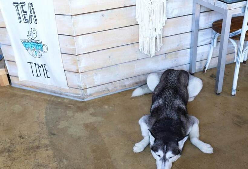 Pensió Yangyang Yoloha Surfhouse