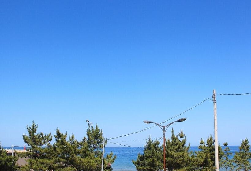 Pensió Yangyang Yoloha Surfhouse