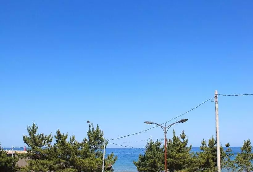 ペンション Yangyang Yoloha Surfhouse