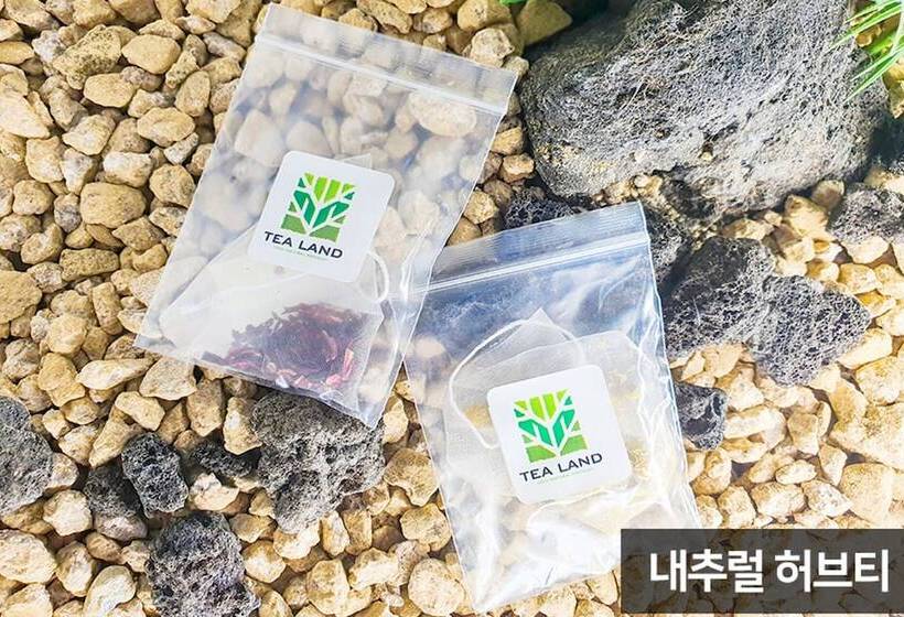 Pensió Yangyang Yoloha Surfhouse