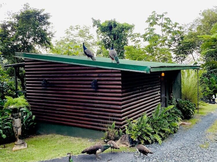 استراحتگاه Mont Carpe Diem