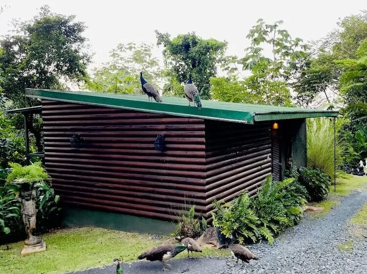 استراحتگاه Mont Carpe Diem