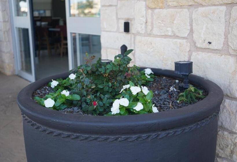 בית מלון כפרי Best Western Lubbock West Inn & Suites