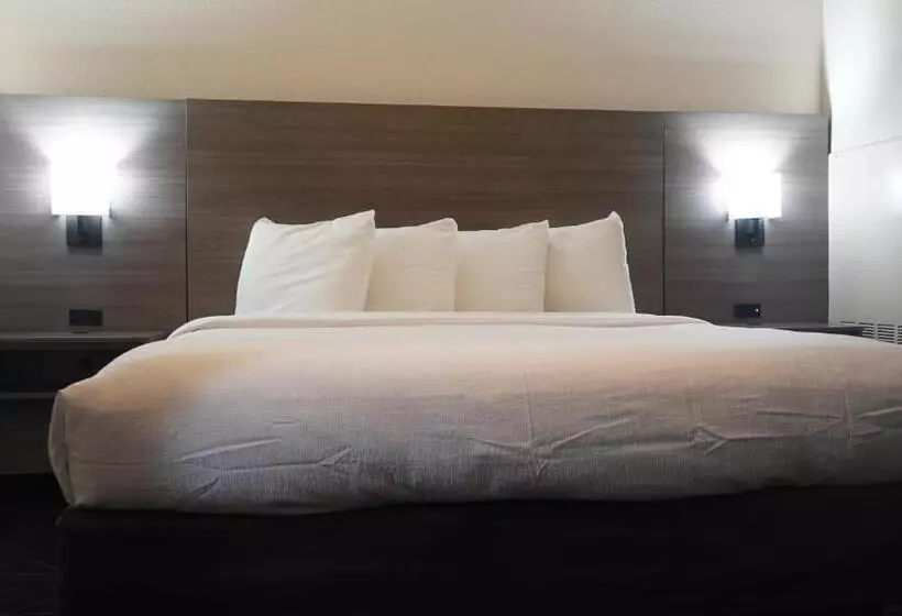 ホテル Best Western Lubbock West Inn & Suites