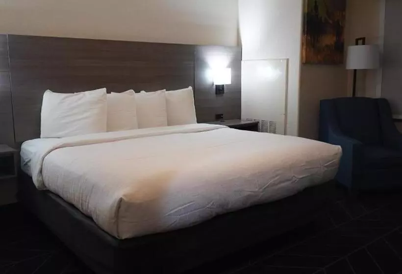 ホテル Best Western Lubbock West Inn & Suites