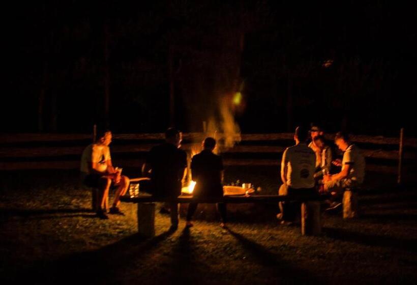 בית מלון כפרי Bike Hostel&camp