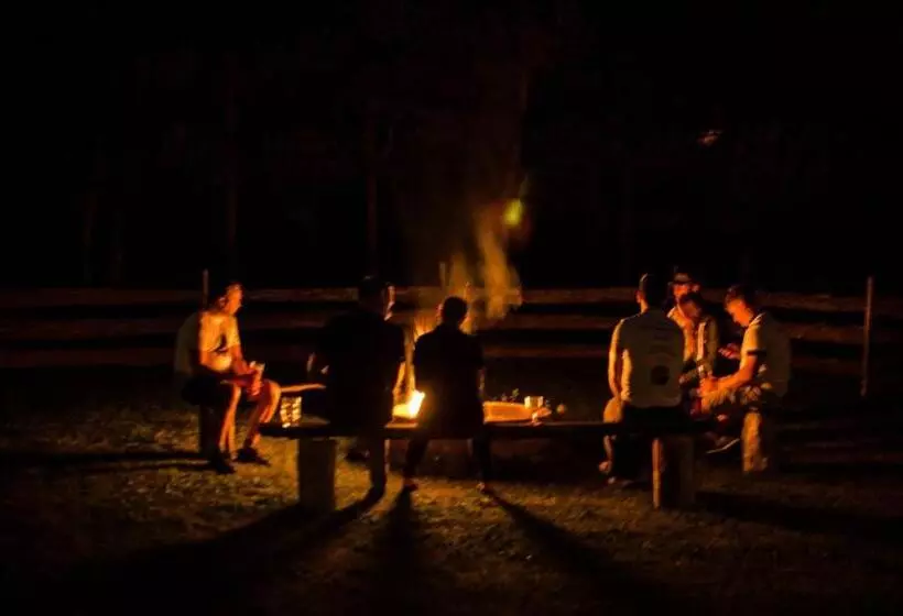 ホテル Bike Hostel&camp
