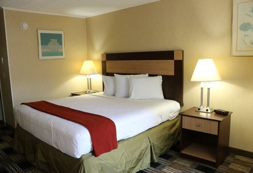 فندق Castlewood Inn