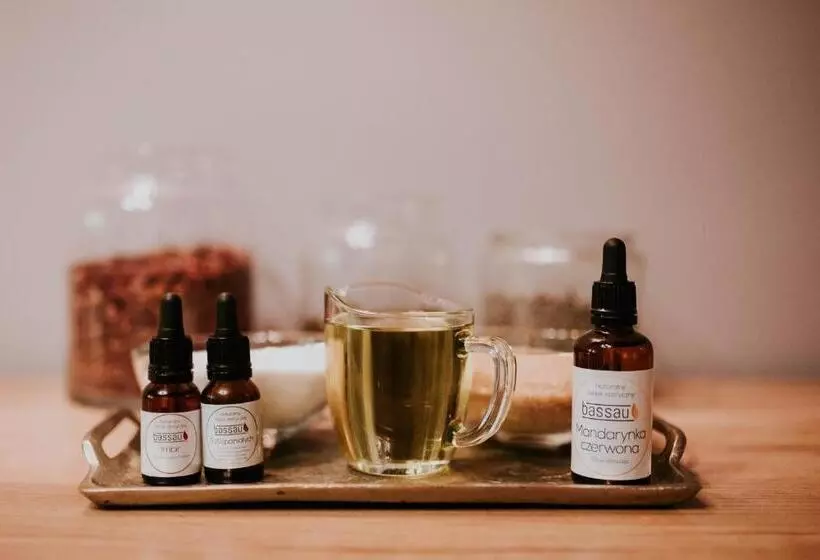 Hotelli Dębowy Biowellness & Spa Góry Sowie
