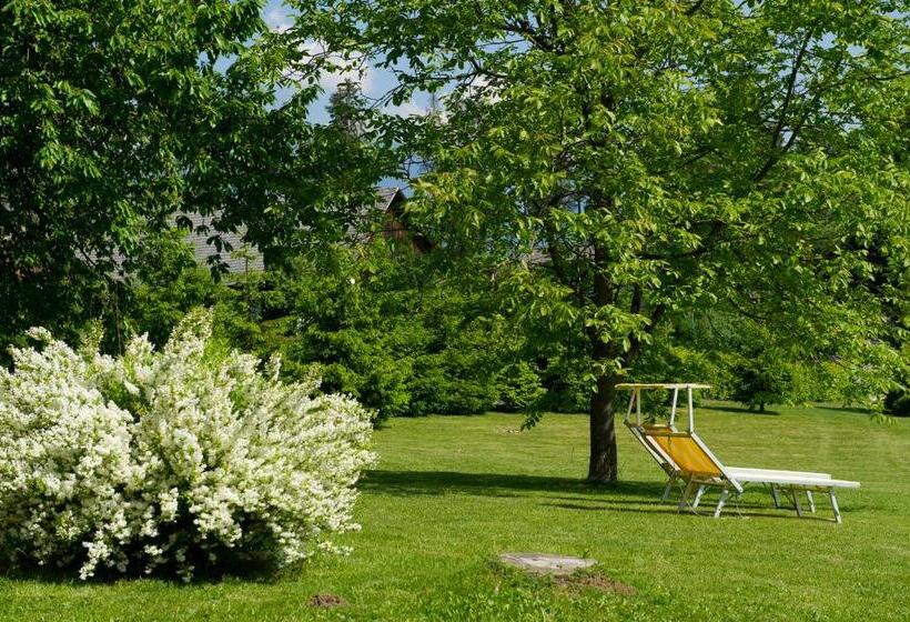 Отель Gästehaus Elisabeth By Keuschengut